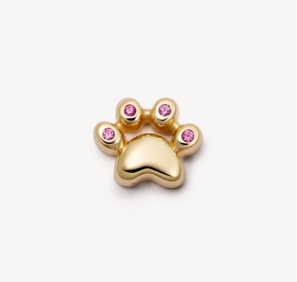 Cat Paw Charm